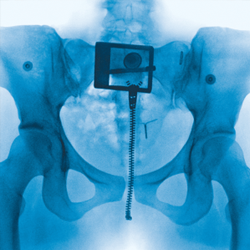 Lorde Virgin Translucent Red Vinyl LP